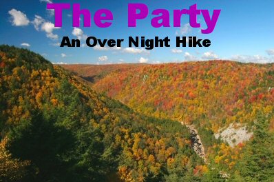 The Party - Short Story